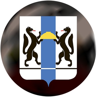 Новосибирской области 80 лет