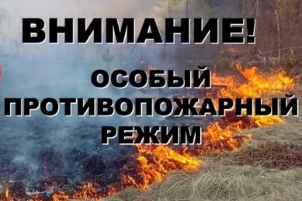 15e528548a385a2961a3cccfa9d8d59d.jpg